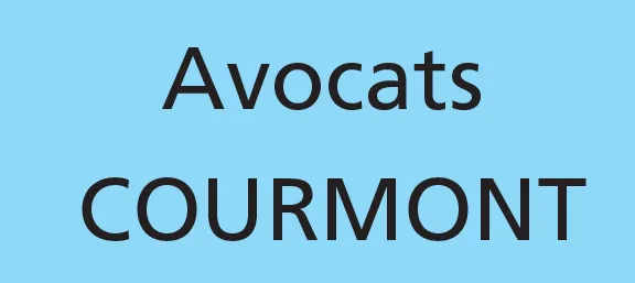 Avocat Thomas GHIDINI (VILLENEUVE LE ROI)