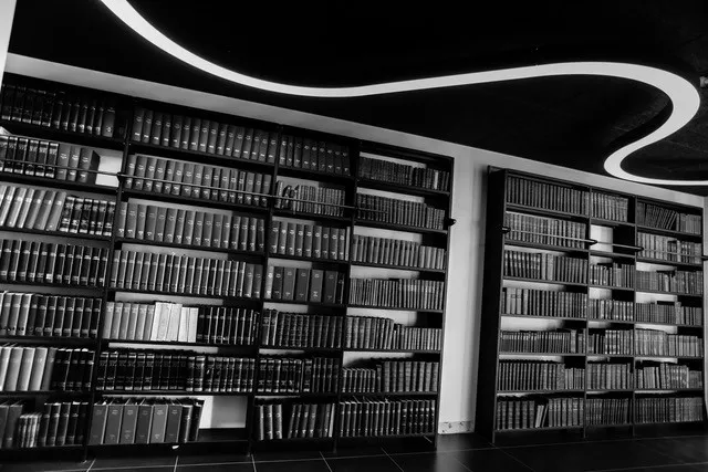 Avocat Auriane GUYONNET (BORDEAUX)