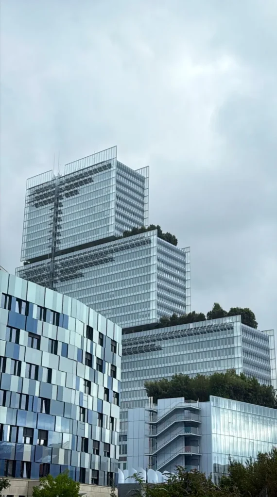 Avocat InĂšs NAIDJA (PARIS)