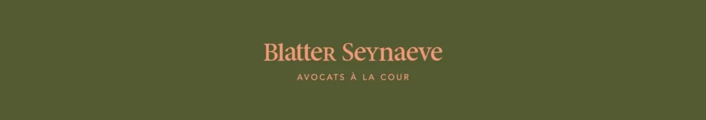 Avocat Jean-Luc SEYNAEVE (PARIS)